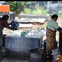 Sri-Lanka-163