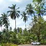Sri-Lanka-172