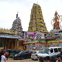 Sri-Lanka-175