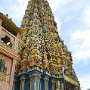 Sri-Lanka-177