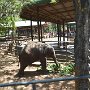 Sri-Lanka-232