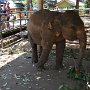 Sri-Lanka-233