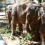 Sri-Lanka-234