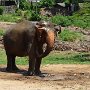 Sri-Lanka-241