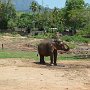 Sri-Lanka-242