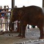 Sri-Lanka-243