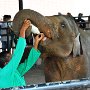 Sri-Lanka-244
