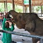 Sri-Lanka-245