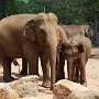 Sri-Lanka-246