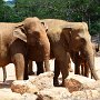 Sri-Lanka-247