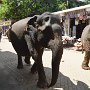 Sri-Lanka-250