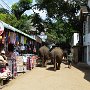 Sri-Lanka-251