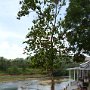 Sri-Lanka-252