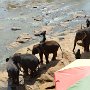 Sri-Lanka-253