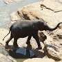 Sri-Lanka-254