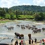 Sri-Lanka-256