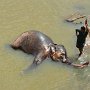 Sri-Lanka-258