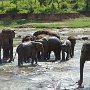 Sri-Lanka-261