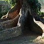 Sri-Lanka-280