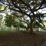 Sri-Lanka-291