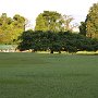 Sri-Lanka-299