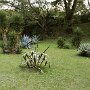 Sri-Lanka-300
