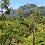 Sri-Lanka-309