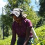 Sri-Lanka-314