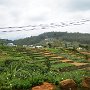 Sri-Lanka-323