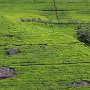 Sri-Lanka-326