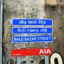 Sri-Lanka-342