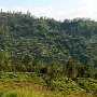 Sri-Lanka-353