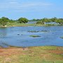 Sri-Lanka-371
