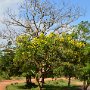 Sri-Lanka-372