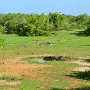 Sri-Lanka-375