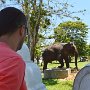 Sri-Lanka-402
