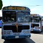 Sri-Lanka-441