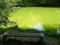 SodomaGomora_Cheb_48