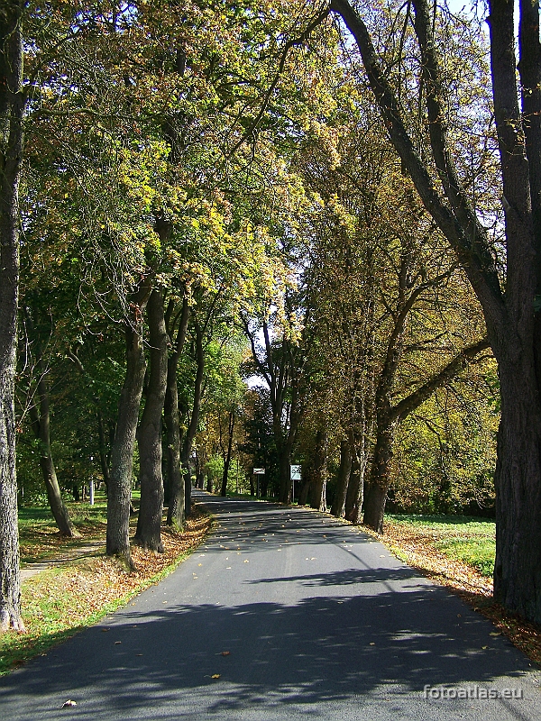 SodomaGomora_FrantiskovyLazne_037.JPG