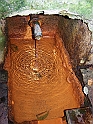 SodomaGomora_FrantiskovyLazne_014
