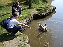 SodomaGomora_FrantiskovyLazne_024